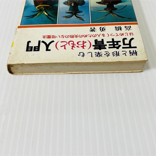 柄と形を楽しむ 万年青(おもと) 入門 高橋 勇著_画像4