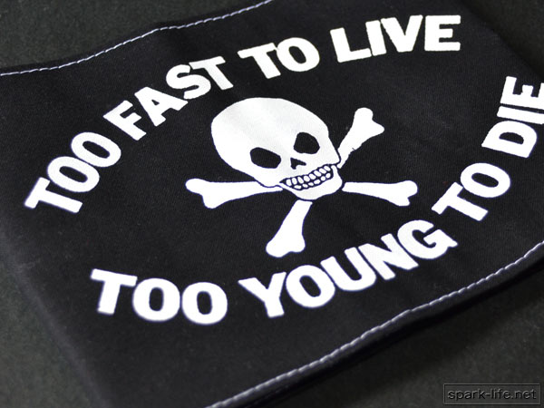 *British PUNK Fashion* lock . accent * arm band arm band [TOO FAST TO LIVE TOO YOUNG TO DIE (BK)] free shipping 