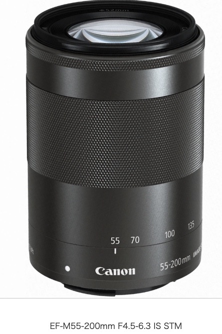 安い購入 《美品》 Canon EF-M55-200mm F4.5-6.3 IS STM シルバー Lens