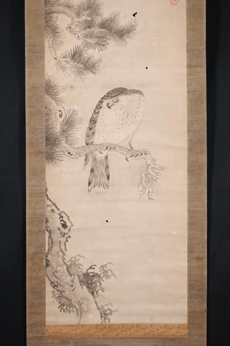 模写】吉】8206 屠龍 鷹図 作者不明 酒井抱一? 古画 中国画 掛軸