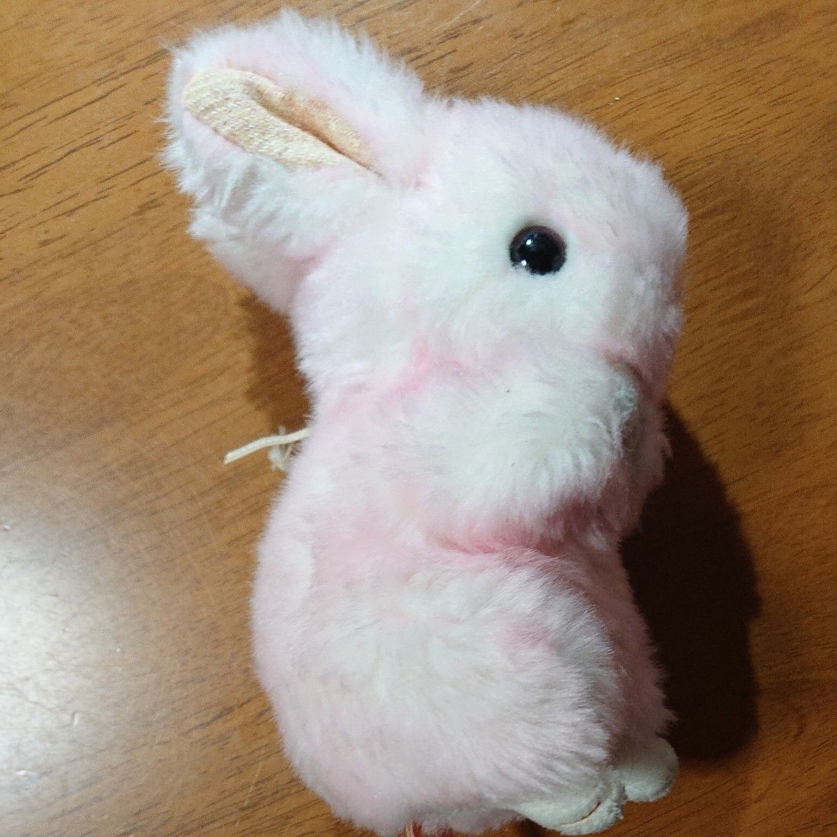 うさぎ ぬいぐるみ おまとめ5匹|Yahoo!フリマ(旧PayPayフリマ) うさぎ ぬいぐるみ おまとめ5匹|Yahoo!フリマ(旧PayPayフリマ)