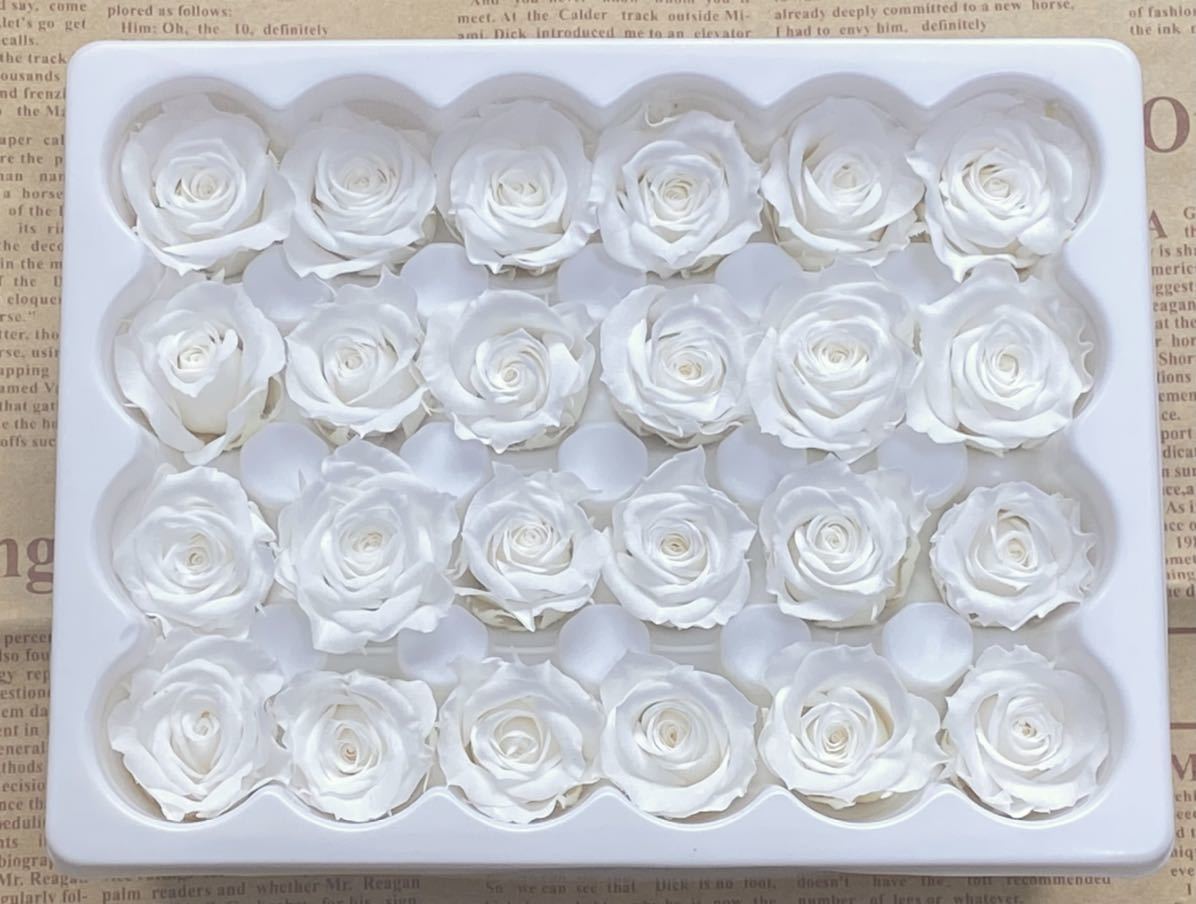  preserved flower flower diameter 2-2.5cm 24 wheel rose small ..0 white 