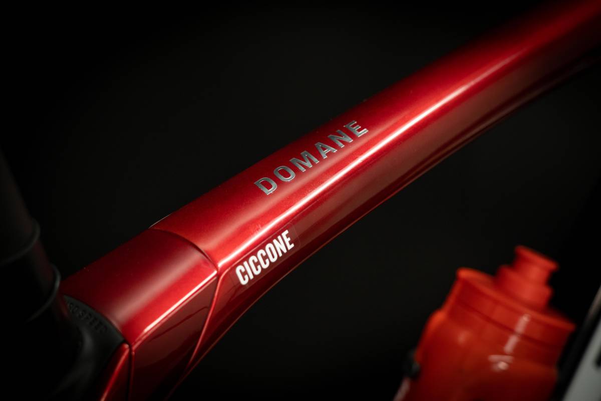 Trek-Segafredoジュリオ・チッコーネ選手のDomane RSL 54サイズ_画像5