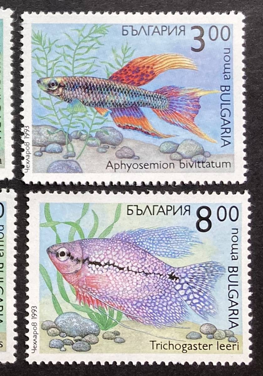 ブルガリア 1993年発行 魚 切手 未使用 NH_画像4