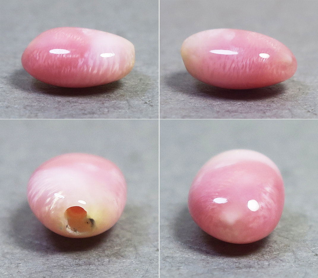 《half-drilled, 1ctup》コンクパール(conch pearl) ルース(1.04ct)_画像5