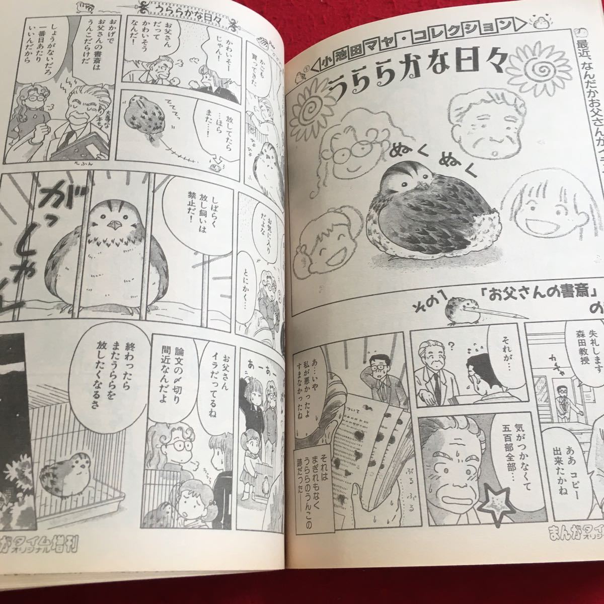 Y20-096 まんがタイム コレクション 小池田マヤ 夏恋のバカンス まんがタイムオリジナル 僕のかわいい上司さま など 芳文社 平成7年発行_画像4