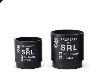 Neighborhood SRL BAPE NBHD PLANT POT 鉢-connectedremag.com