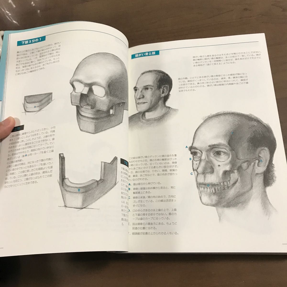 Paypayフリマ 表情 顔の微妙な表情を描く ゲーリー フェイジン 著 みつじまちこ 訳 Paypayフリマ 表情 顔の微妙な表情を描く ゲーリー フェイジン 著 みつじまちこ 訳