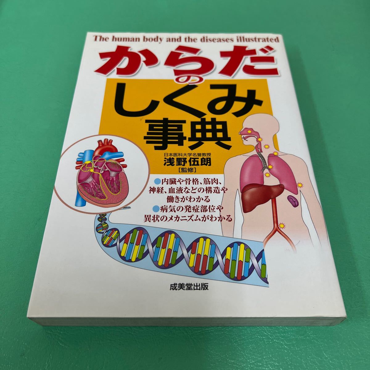 からだのしくみ事典 浅野伍朗／監修