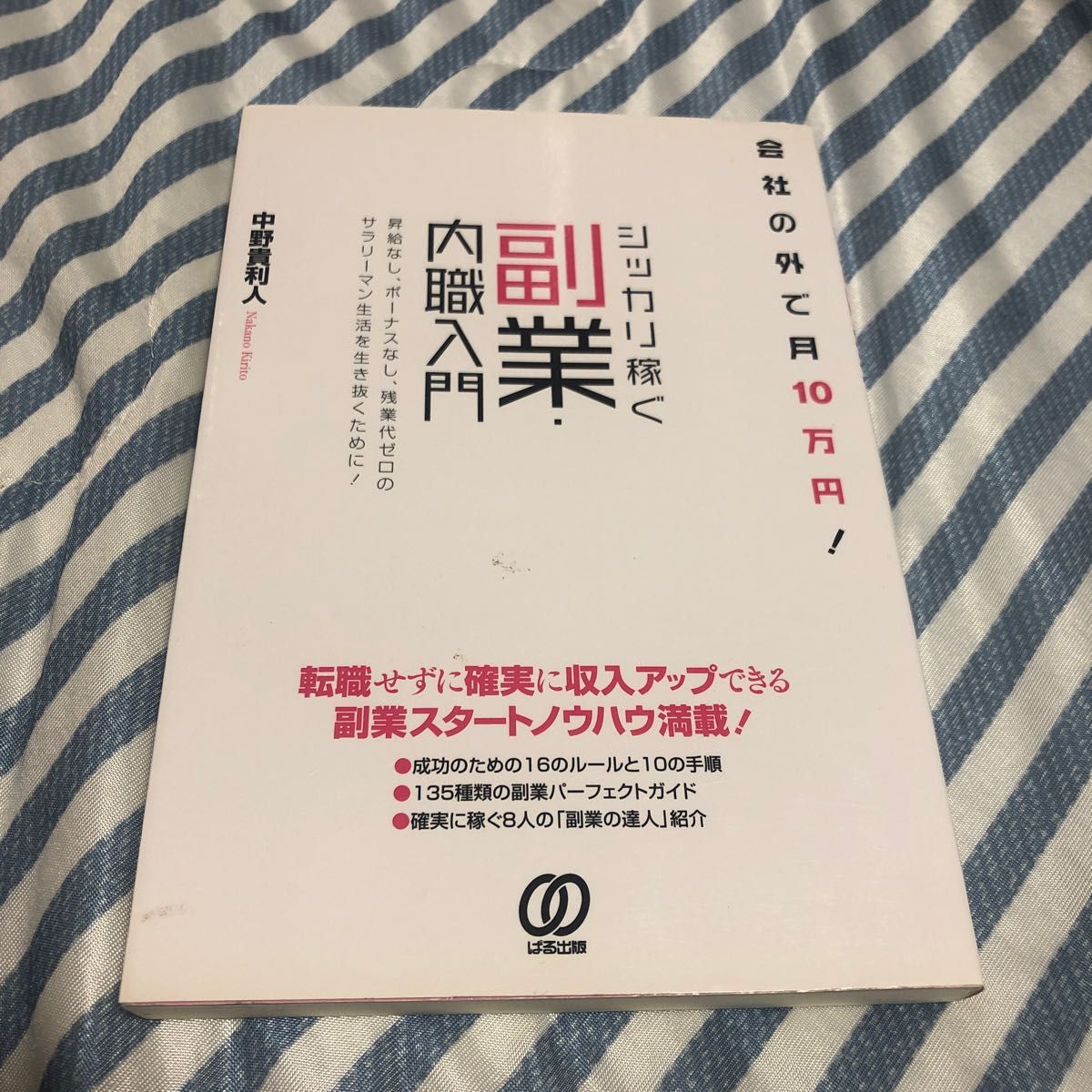 シッカリ稼ぐ副業・内職入門　会社の外で月１０万円！ （会社の外で月１０万円！） 中野貴利人／著