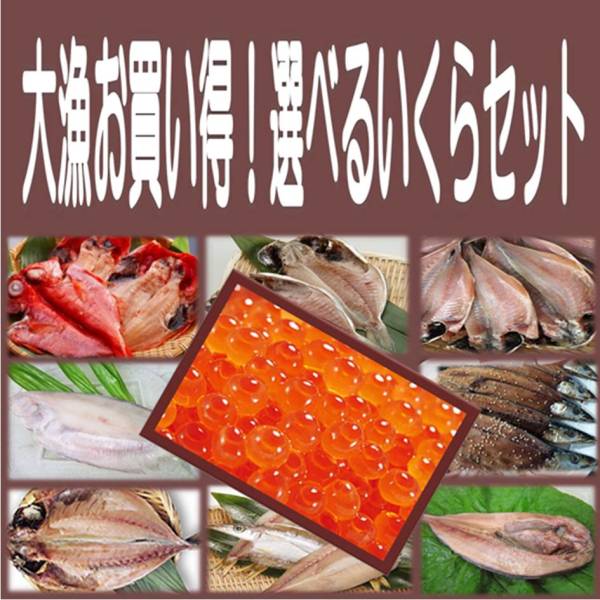 5《送料無料》いくら500g＋選べる干物３品セット 金目鯛 沼津産鯵 ホッケ カマス えぼ鯛 大サバ 対馬鯵 秋刀魚 平サバ 鰯より選択_画像1