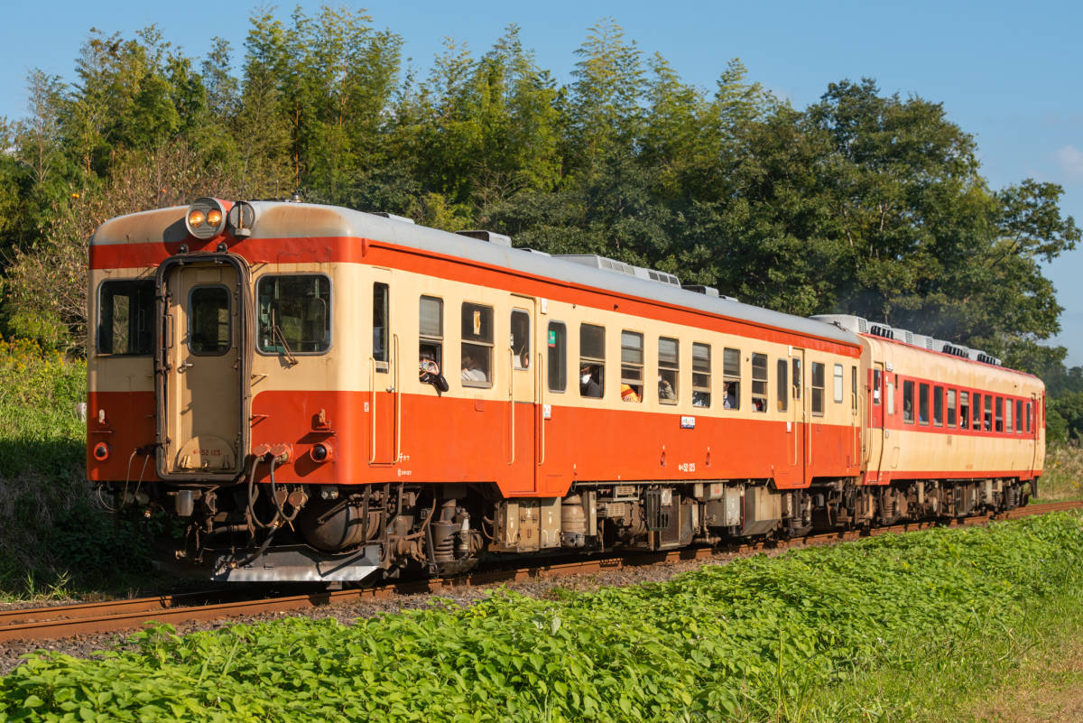 鉄道 デジ 写真 画像 2022年 キハ52 いすみ鉄道 11_画像1