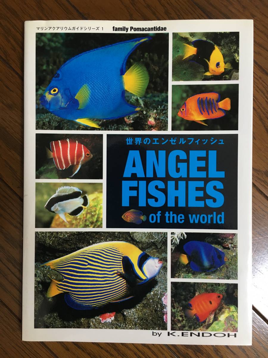 ANGEL FISHES of the world 世界のエンゼルフィッシュ アクアリウムガイドシリーズ 1_画像1