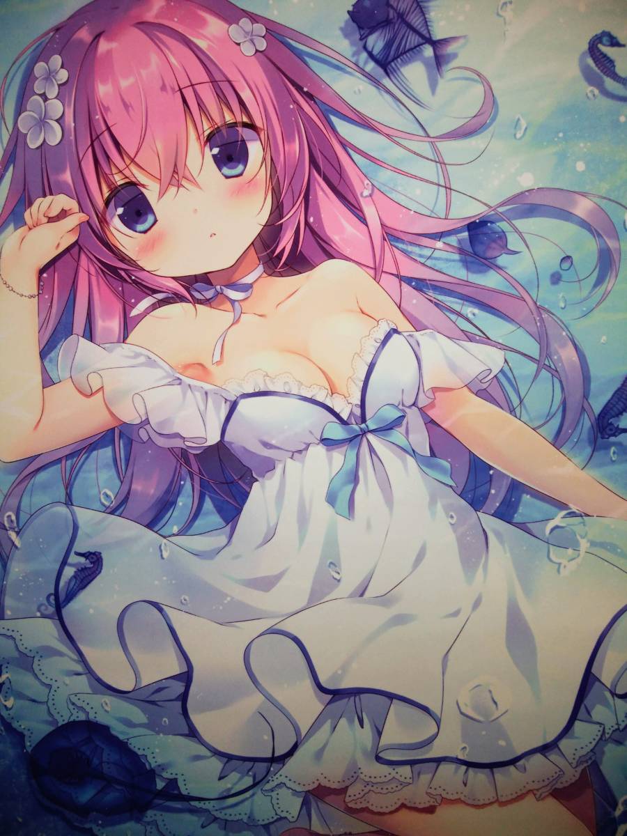 早割 リフト券 宮坂みゆ 水中標本 CANVAS+GARDEN B2タペストリー タペストリー
