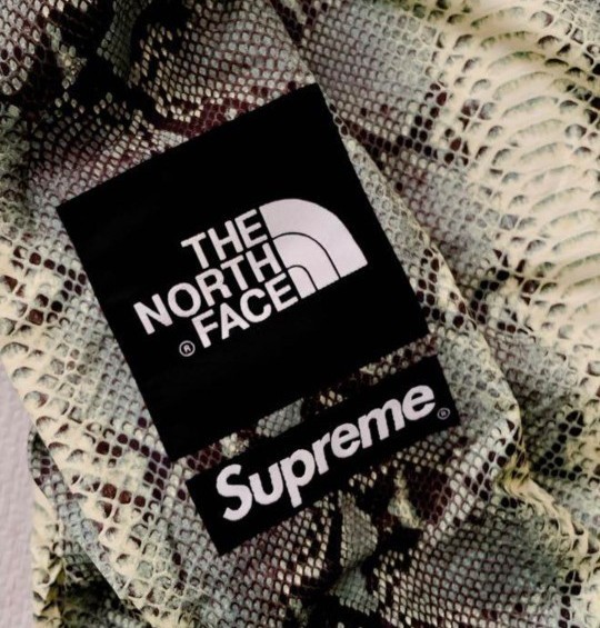 Supreme THE NORTH FACE スネーク コーチジャケット シュプリームノースフェイス 蛇柄 SNAKE　アニマル