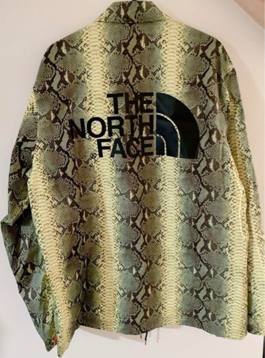 Supreme THE NORTH FACE スネーク コーチジャケット シュプリーム