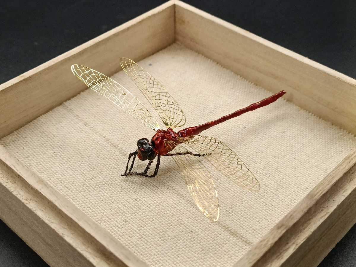 最新最全の 銅製置物 勝虫 蜻蛉 トンボ 金工品 細工 インテリア置物 