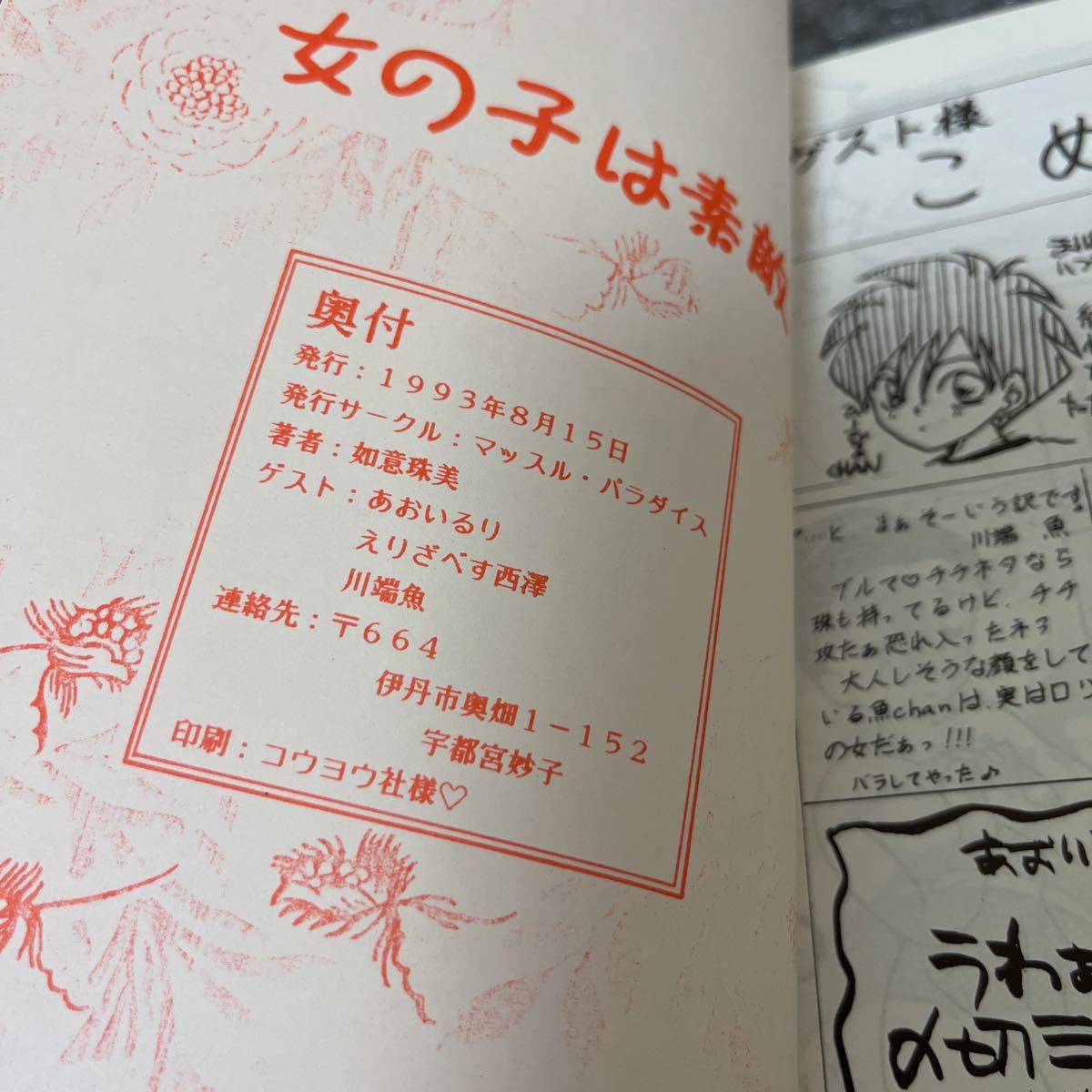 Z743 Dragon Ball журнал узкого круга литераторов 1993 девочка. замечательный 