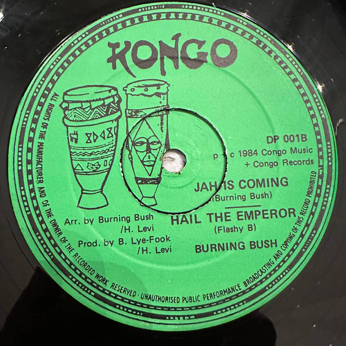 ■1984年 UK盤 オリジナル Burning Bush - Go To School / Jah Is Coming 12”EP DP 001 Kongo Reggae_画像4