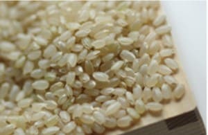  brown rice 4 year production Shiga prefecture Koshihikari 1 etc. 30kg (1 sack )× 1[ sack sale ]