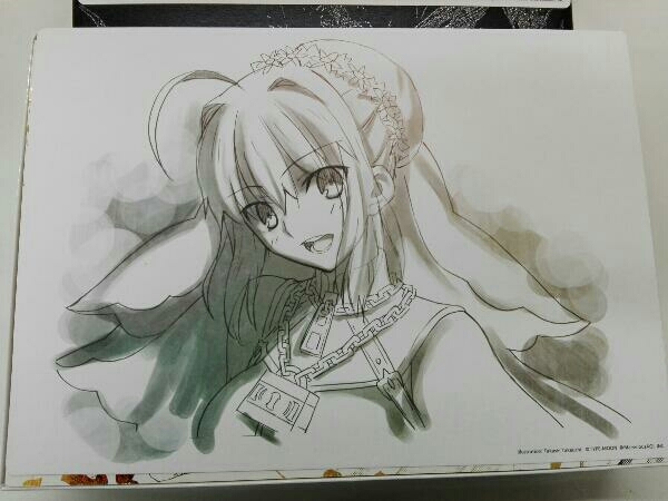 Fate EXTRAccc Labyrinth box_画像4