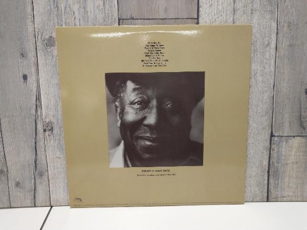 【LP盤】 MUDDY WATERS/マディ・ウォーターズ KING BEE PZ37064_画像2