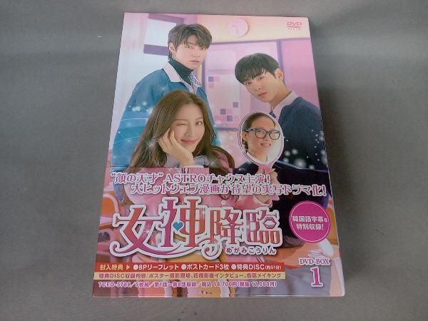 女神降臨 DVD-BOX1〈5枚組〉BOX2〈5枚組〉 - alacantitv.com