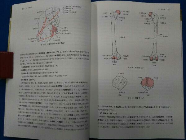 解剖学 第2版 岸清_画像5