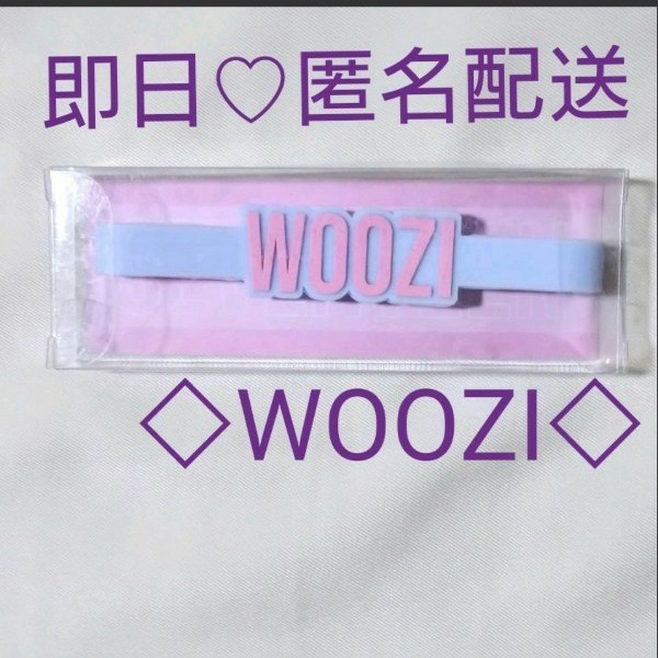 セブチ ケレン ペンライト アクセサリー WOOZI ウジ 新品未開封