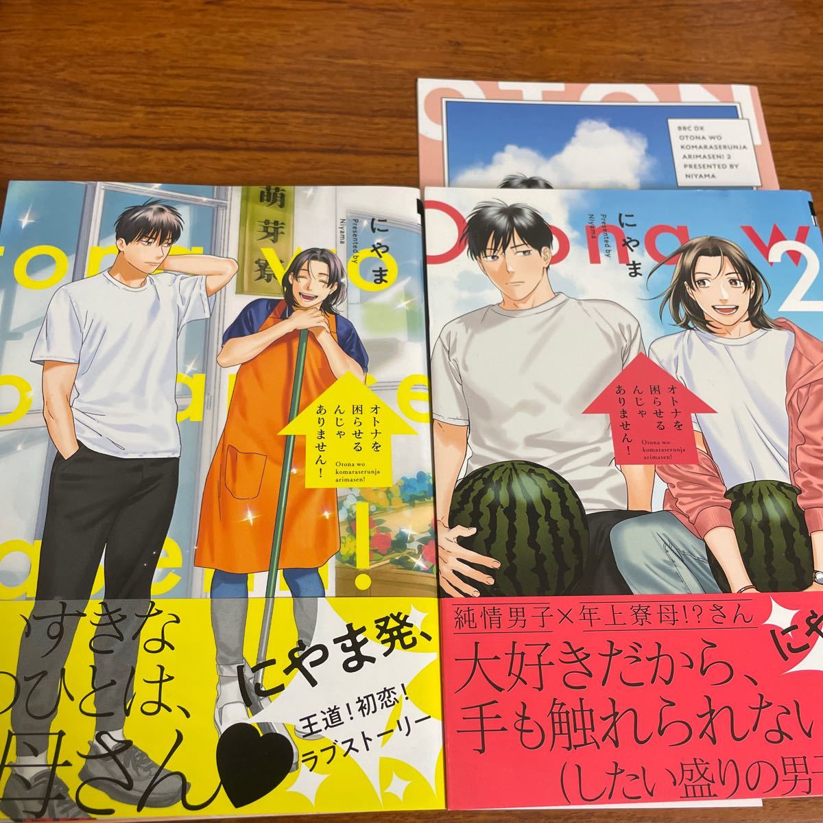 そんなに言うなら抱いてやる オトナを困らせる にやま商業BLコミック