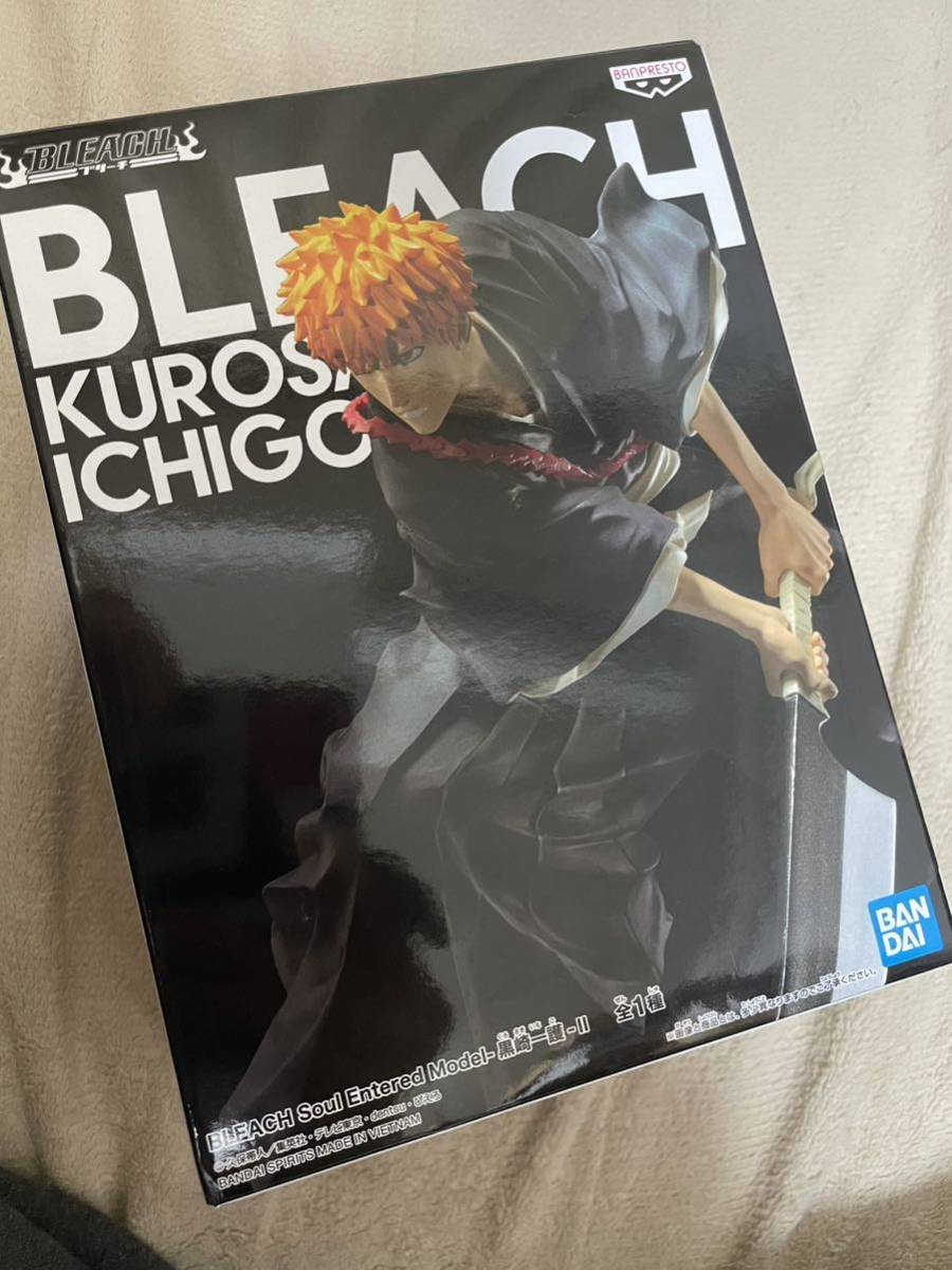  bleach # black cape one . figure 