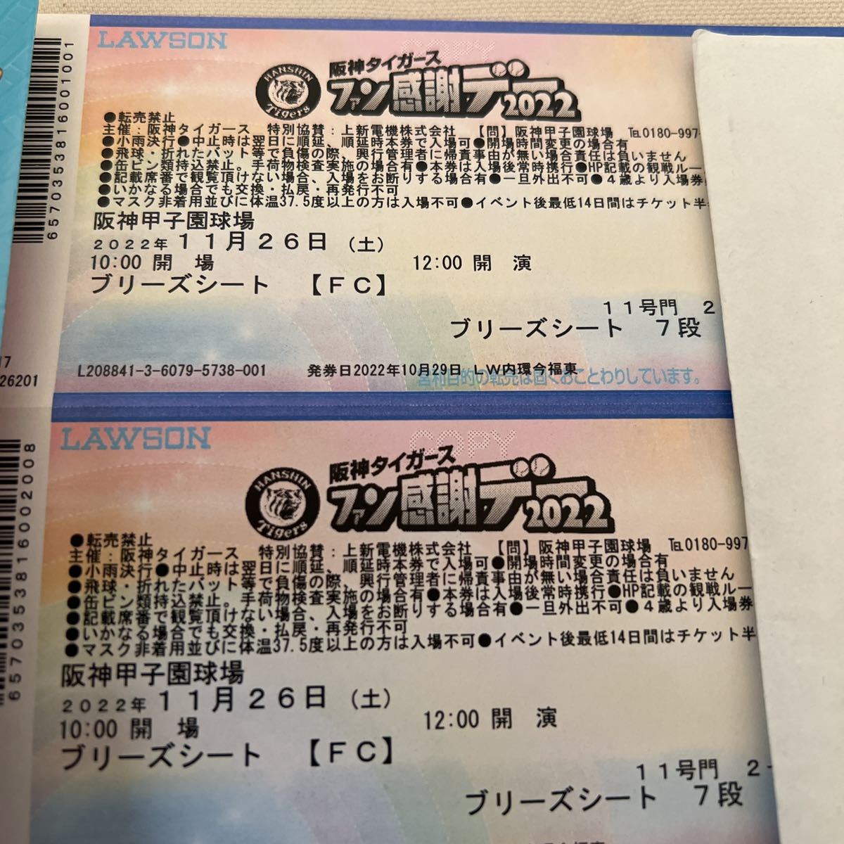 阪神タイガースファン感謝デー ブリーズシート ペアチケット2枚 通路側