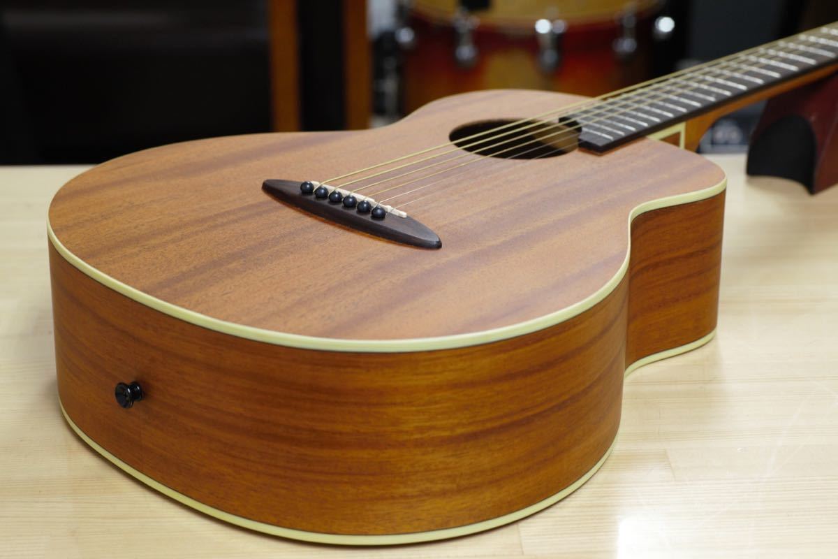 anuenue bird m2 ケース付-