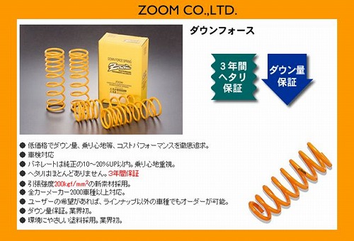 ★消費税込,ZOOM,マスタング(V8)1FATP42,1FATP45,ダウンでキメル！ズームダウンサス新品即決_画像2