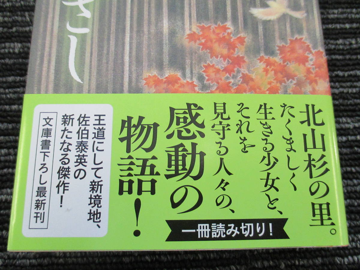 ☆帯付き☆ 初版 出絞と花かんざし　佐伯泰英　光文社時代小説文庫　 ★送料全国一律：185円★_画像2