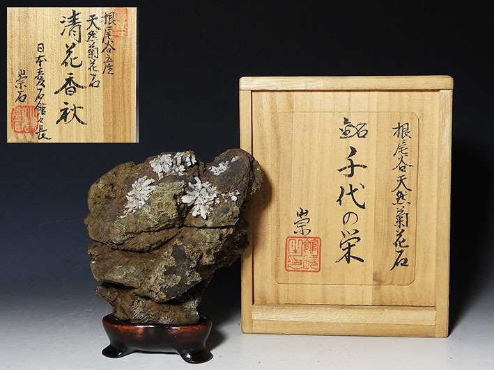 花】盆石 鑑賞石 尾根谷天然菊花石 銘千代の栄 - vetloja.com.br 花】盆石 鑑賞石 尾根谷天然菊花石 銘千代の栄 - vetloja.com.br
