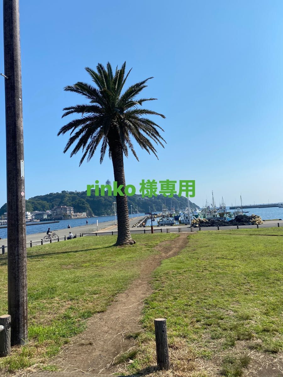 rinco 様専用ページ - library.iainponorogo.ac.id 19