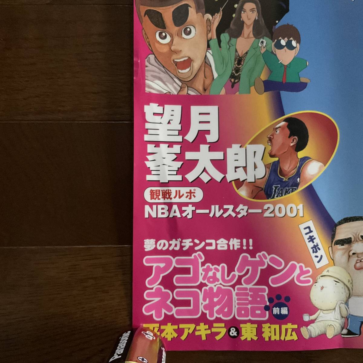 [ б/у ] постер [ Igawa Haruka Young Magazine ] электропоезд средний подвешивание .. для постер купальный костюм не продается 
