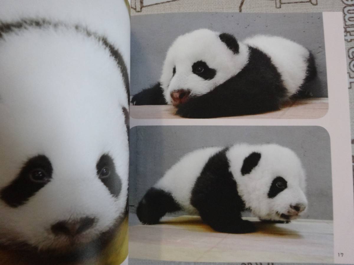Baby　Panda　あかパン　パンダの赤ちゃん写真集　中古品_画像2