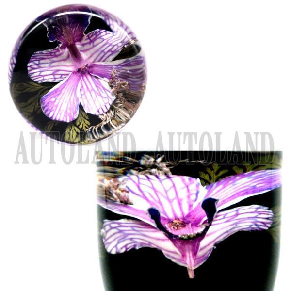 水中花シフトノブ/本物蘭/生花作品/90mm 9cm/紫色の画像4