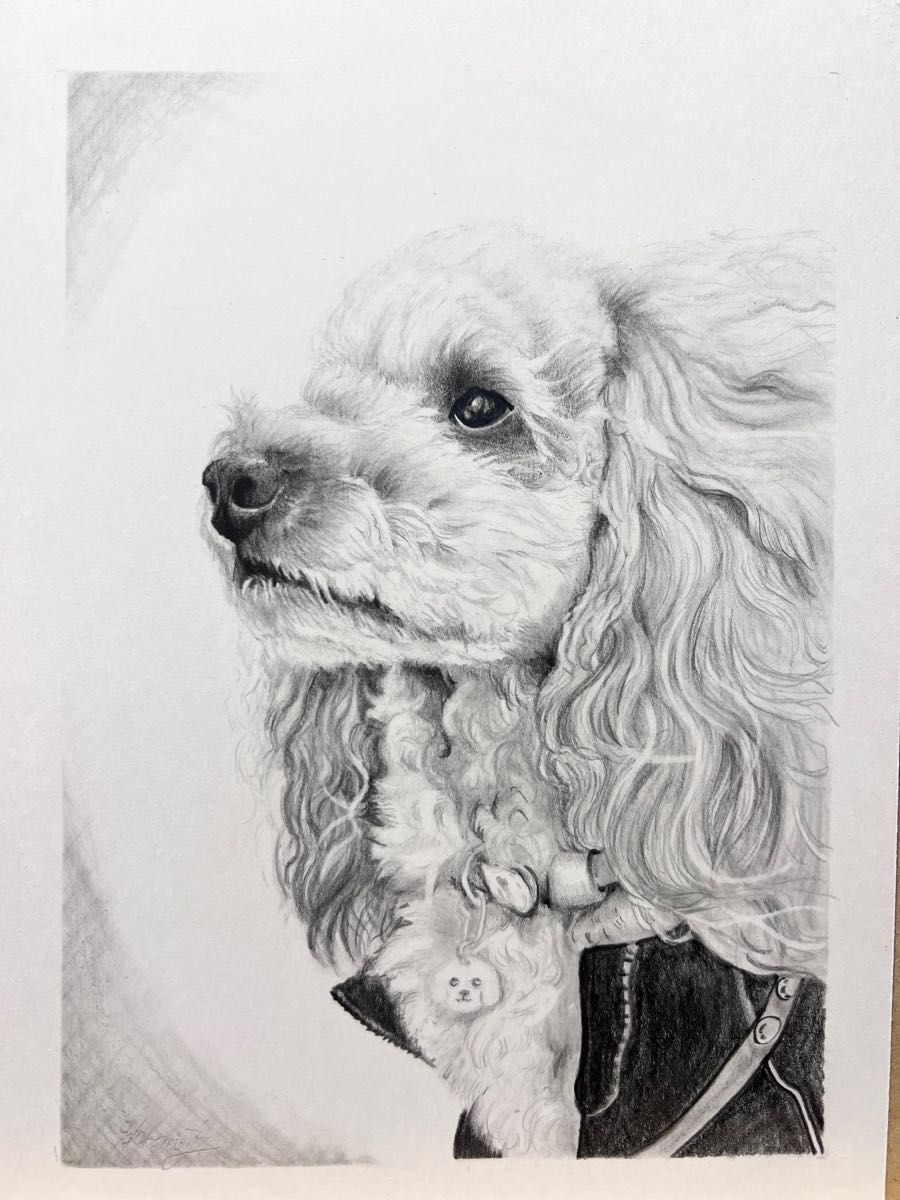 ダルメシアン 犬 犬の絵 原画 鉛筆画 絵画 手描き イラスト モノクロ
