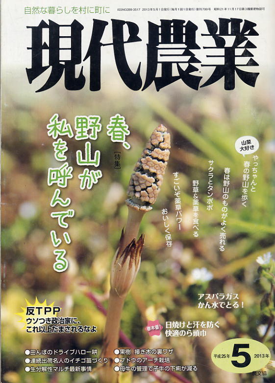 [ present-day agriculture ]2013.05* spring,. mountain . I ......
