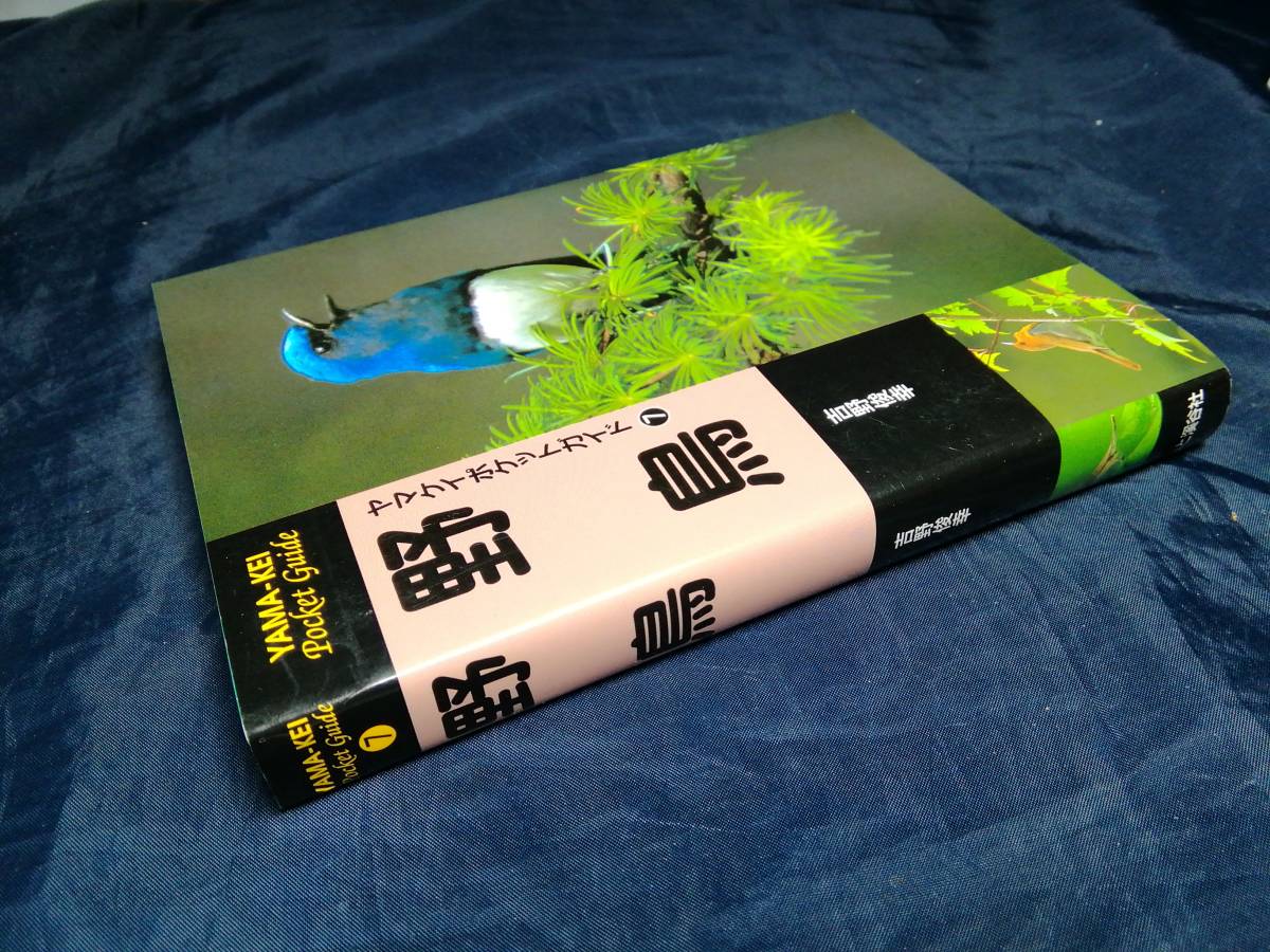 B⑤野鳥 （ヤマケイポケットガイド　７） 吉野俊幸／著　山と渓谷社_画像3