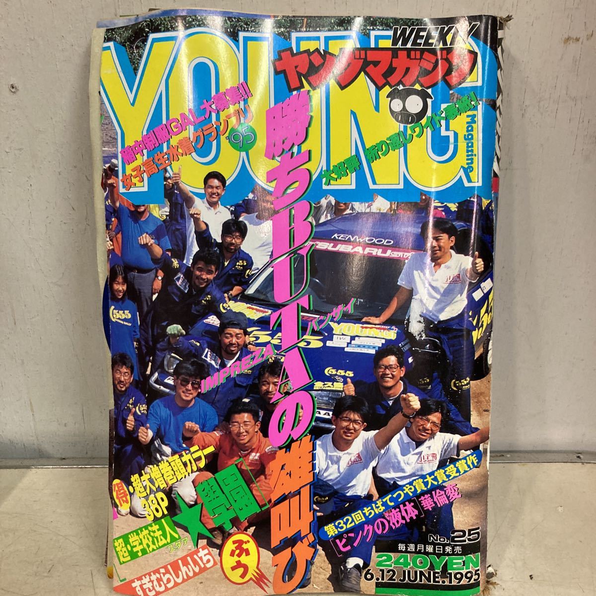 ヤングマガジン NO.25 1995年6月12日号 勝ちブタの雄叫び