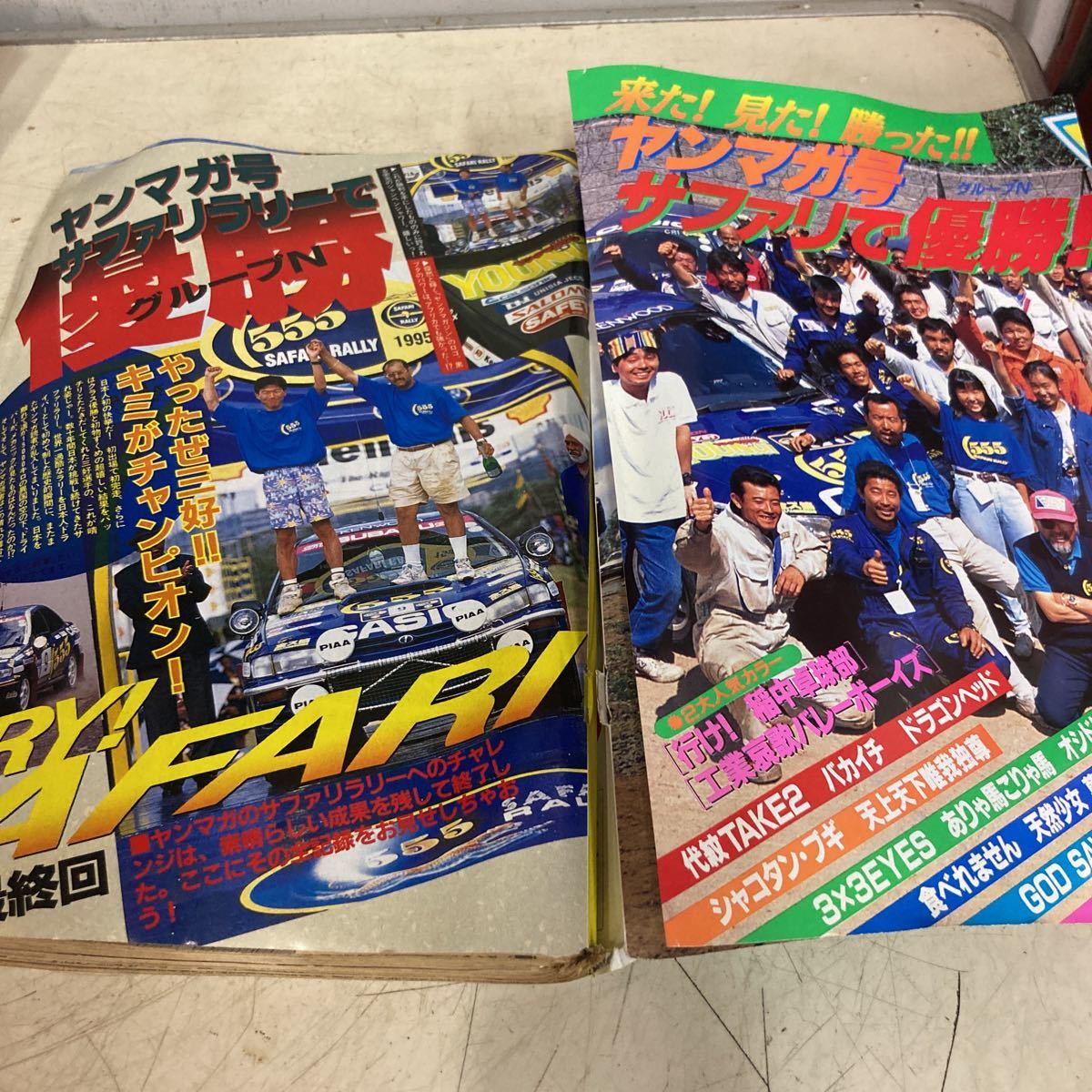 ヤングマガジン NO.25 1995年6月12日号 勝ちブタの雄叫び ヤングマガジン NO.25 1995年6月12日号 勝ちブタの雄叫び