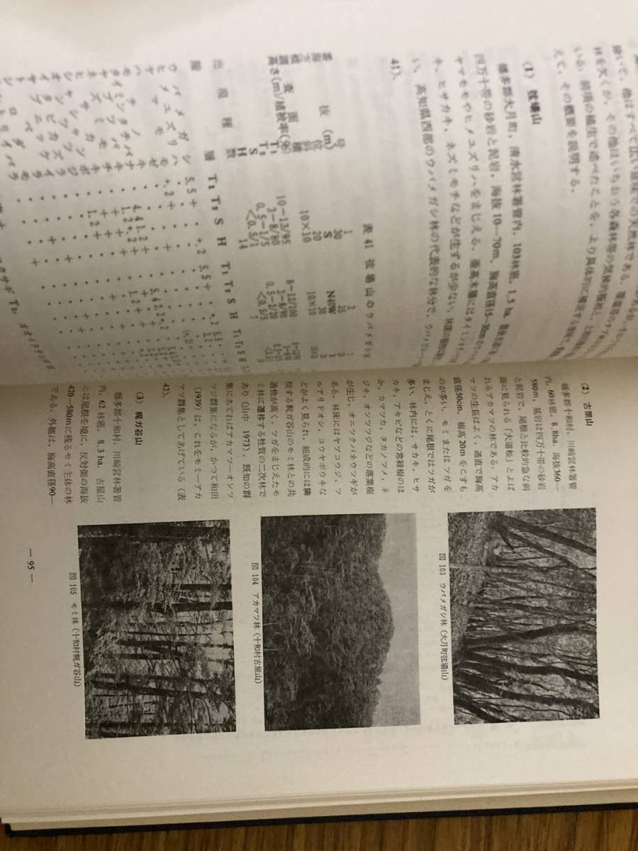 函なし　高知県の植生と植物相　山中二男　/NH120_画像7