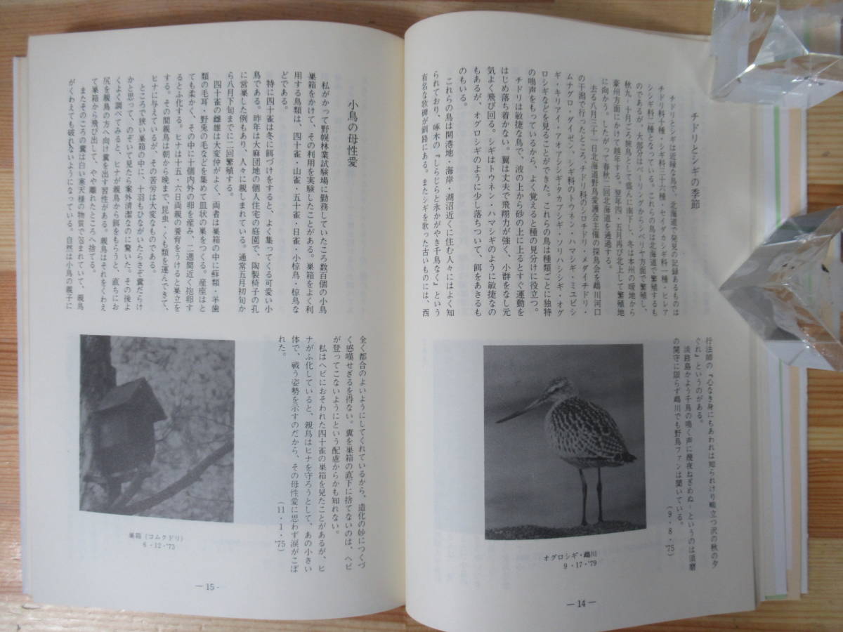 I14△森に生きる 野幌原生林と共に 井上元則 北方自然保護研究所 昭和62年 野鳥 探鳥 大沢園地 自然保護 昆虫 221106_画像8