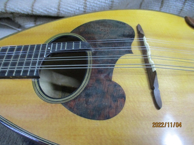  stringed instruments Suzuki mandolin M-30 case attaching ( tube 15) inspection musical instruments tools and materials musical performance 