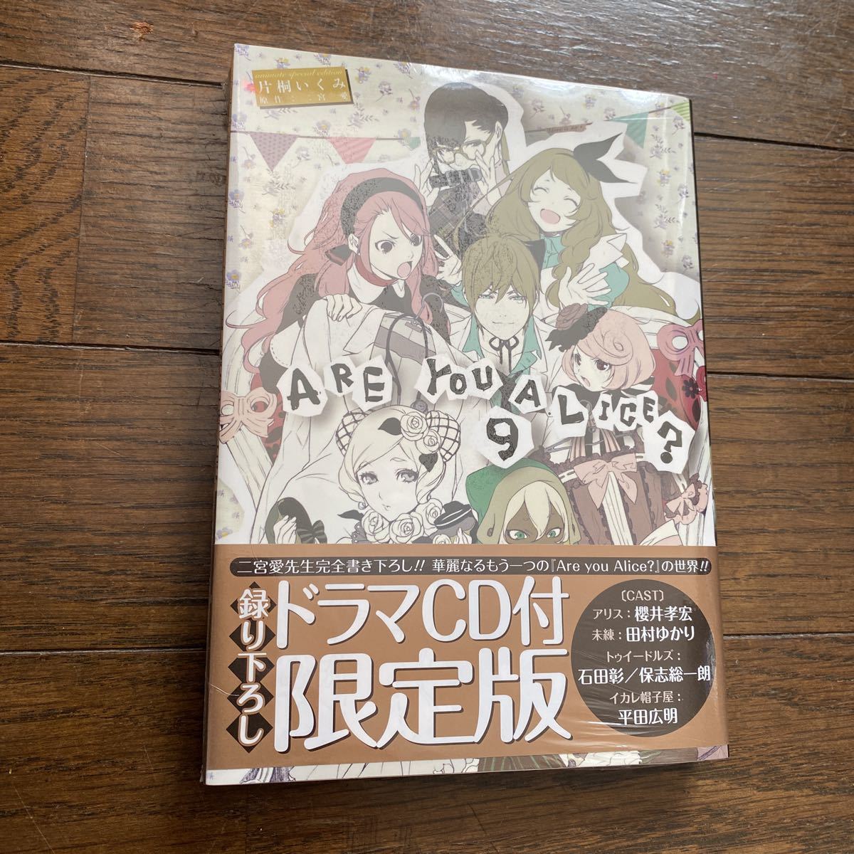 未開封新品　デッドストック　倉庫保管品　単行本　Are you Alice? 片桐いくみ　二宮愛　一迅社　アーユーアリス？　9巻_画像3