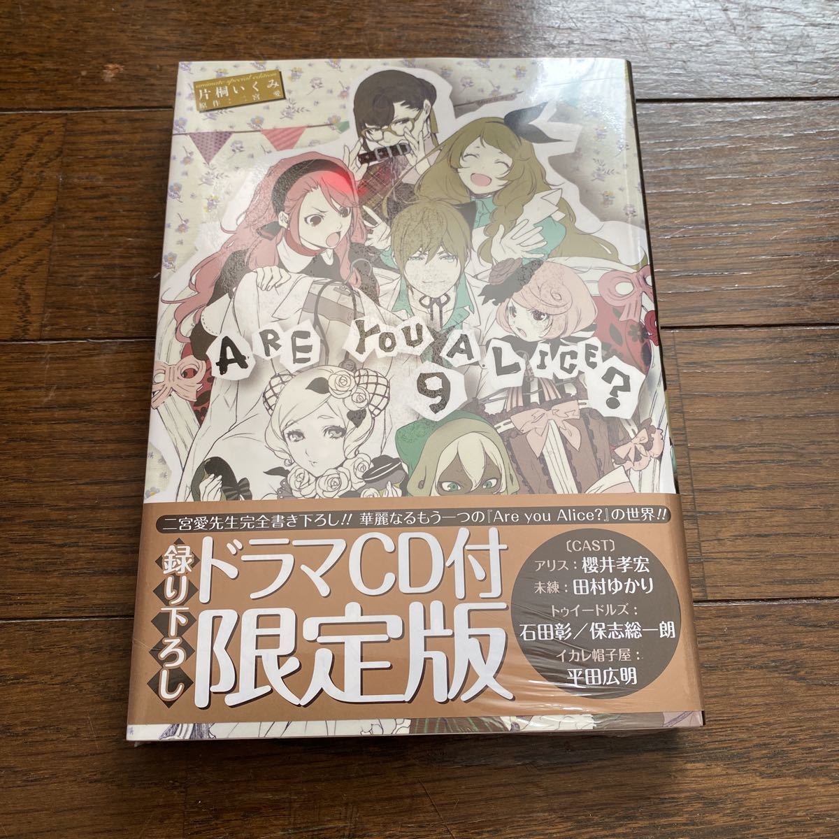 未開封新品　デッドストック　倉庫保管品　単行本　Are you Alice? 片桐いくみ　二宮愛　一迅社　アーユーアリス？　9巻_画像1